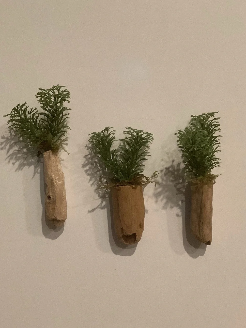 Driftwood Art, Driftwood Faux Plant Magnets, Driftwood Faux Greenery Coastal Art
